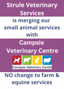 Strule Veterinary is merging its small animal service with Campsie Veterinary Centre. No change to farm & equine